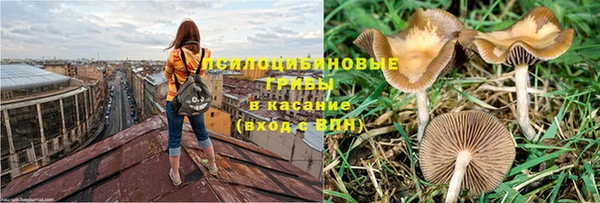кокаин перу Каменногорск